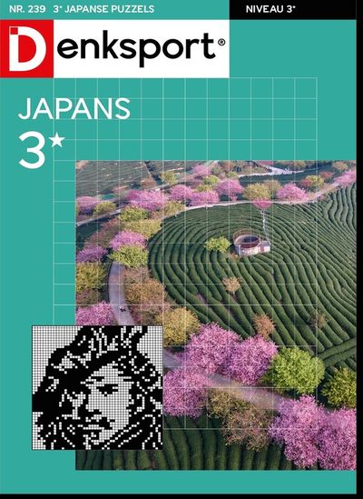 Japanse puzzels 3*