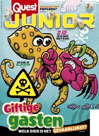 Quest Junior cover