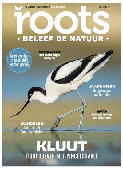 Roots proefabonnement cover – Reizen & Recreatie