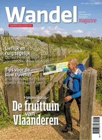 Wandel magazine cover