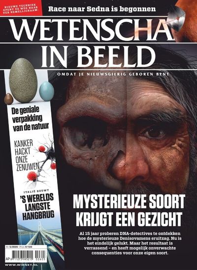 Wetenschap in Beeld